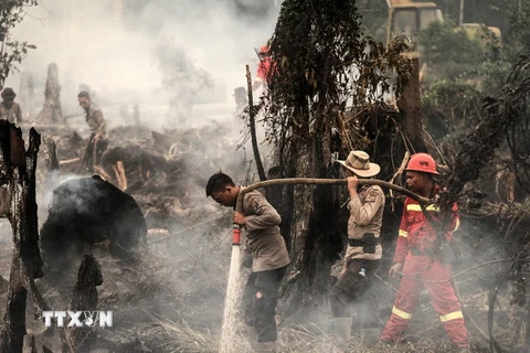  Cảnh sát và nhân viên cứu hỏa Indonesia nỗ lực dập các đám cháy rừng ở Rokan Hulu ngày 28/8. (Nguồn: EPA/TTXVN)