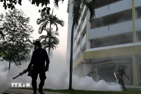Phun thuốc diệt muỗi mang virus Zika ở một khu dân cư tại Aljunied ngày 29/8. (Nguồn: AFP/TTXVN) 