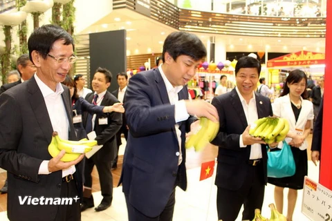 Các đại biểu thăm quan gian hàng bán chuối của Việt Nam tại triển lãm. (Ảnh: Gia Quân/Vietnam+)