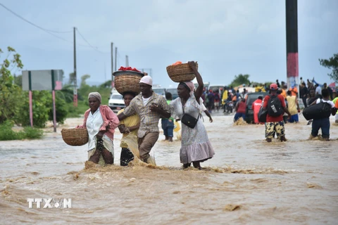 Siêu bão Matthew gây thiệt hại lớn cho "đảo quốc Caribe" Haiti