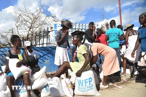 Người dân Haiti nhận hàng cứu trợ sau bão Matthew ở Les Cayes, ngày 12/10. (Nguồn: AFP/TTXVN)