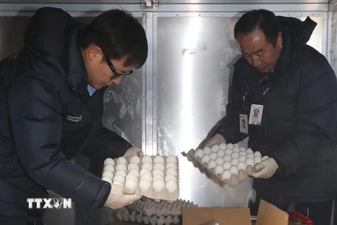 Nhân viên kiểm tra số trứng nhập khẩu từ Mỹ tại sân bay quốc tế Incheon. (Nguồn: Yonhap/TTXVN) 