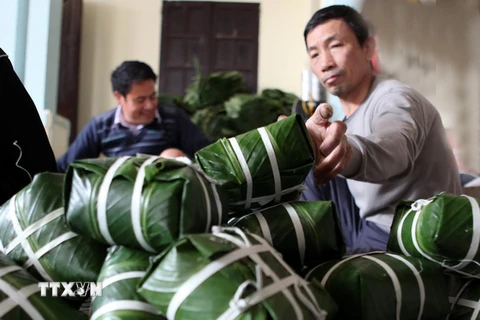 Làng Tranh Khúc, xã Duyên Hà, huyện Thanh Trì (Hà Nội) nổi tiếng với nghề làm bánh chưng phục vụ Tết. (Ảnh: Trần Việt/TTXVN)