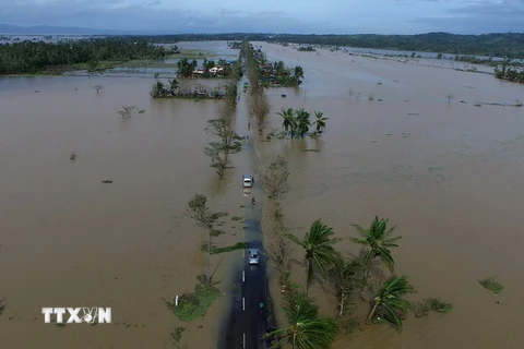 Ảnh minh họa. (Nguồn: AFP/TTXVN)