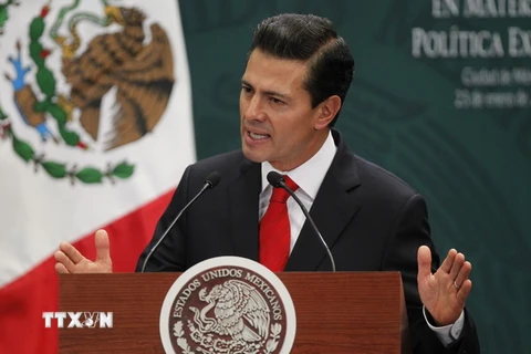 Tổng thống Mexico Enrique Peña Nieto. (Nguồn: EPA/TTXVN)