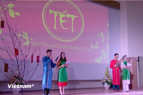 Hành trình Tết quê hương của sinh viên Việt Nam tại Nga. (Nguồn: Vietnam+)