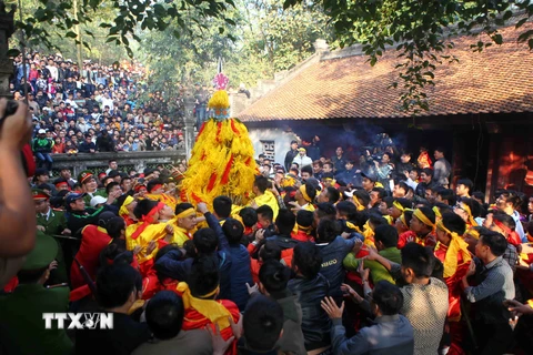  Hàng trăm người chen nhau để cướp lộc hoa tre tại lễ Hội Gióng đền Sóc. Ảnh: Quý Trung – TTXVN 