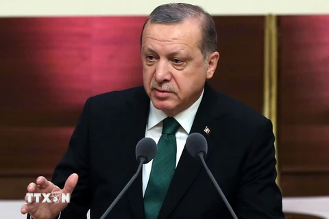 Tổng thống Thổ Nhĩ Kỳ Tayyip Erdogan phát biểu tại một sự kiện ở Ankara ngày 1/2. (Nguồn: AFP/TTXVN) 