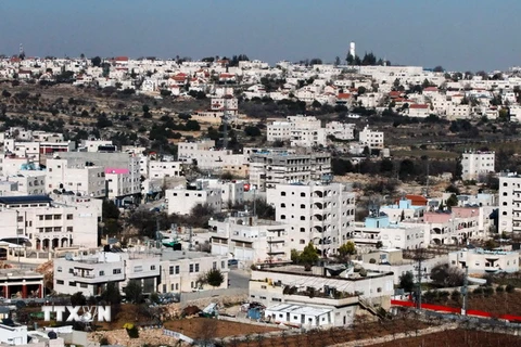 Khu định cư Givat Harsina ở thành phố Bờ Tây Hebron. (Nguồn: AFP/TTXVN)