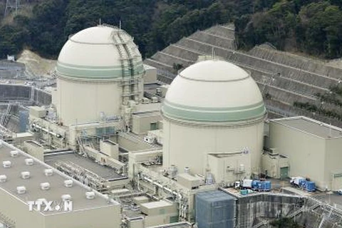 Lò phản ứng số 3 và số 4 tại Nhà máy điện Takahama. (Nguồn: Kyodo/TTXVN) 