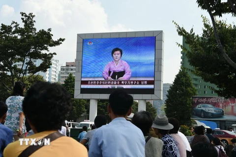 Phát thanh viên Đài truyền hình Trung ương Triều Tiên đưa tin về vụ thử hạt nhân thứ 5 của nước này. (Nguồn: YONHAP/TTXVN) 