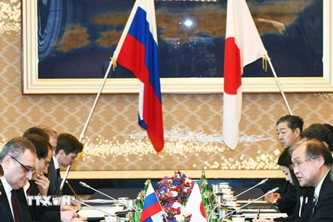 Nhật Bản và Nga đàm phán về các hoạt động chung trên quần đảo tranh chấp. (Nguồn: Kyodo/TTXVN)