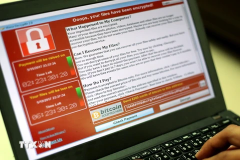 Một lập trình viên hiển thị mã độc trong vụ tấn công mạng ở Đài Bắc, Đài Loan (Trung Quốc). (Nguồn: EPA/TTXVN) 