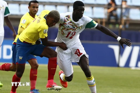Cầu thủ U20 Senegal Habib Gueye (phải) dẫn bóng trước cầu thủ Pervis Estupinan (trái) của đội U20 Ecuador trong trận đấu. (Nguồn: EPA/TTXVN) 