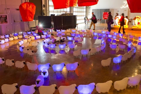 Hàng trăm đèn lồng hình con cừu ngộ nghĩnh tại lễ hội ở Canada