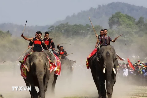 Không khí tưng bừng và náo nhiệt Lễ Hội đua voi tại Đắk Lắk