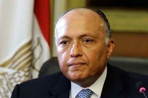 Bộ trưởng Ngoại giao Ai Cập Sameh Shoukry Hassan. (Nguồn: msnbc.me)