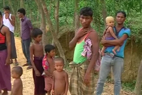 [Video] Cuộc sống bấp bênh của người Rohingya ở Bangladesh 