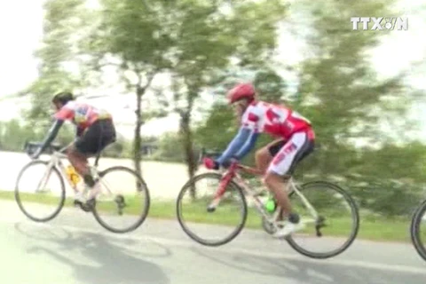 Các tay đua tham dự chặng 4, giải đua xe đạp truyền hình Bến Tre tranh cúp Tôn Hoa Sen 2016.