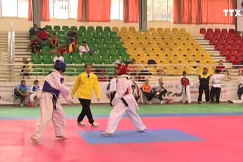 Các võ sỹ Taekwondo Việt Nam đã thi đấu không thành công và trắng tay trong cuộc đua giành vé tham dự Olympic.