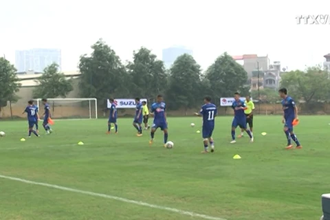 Các tuyển thủ Việt Nam hào hứng khi được tập luyện trên mặt sân cỏ chuẩn quốc tế.