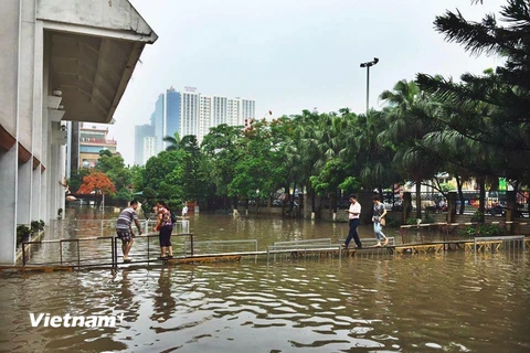 Cây cầu tự chế được thiết kế rất sáng tạo để phục vụ công tác phòng chống mưa lũ. (Ảnh: CTV/Vietnam+)