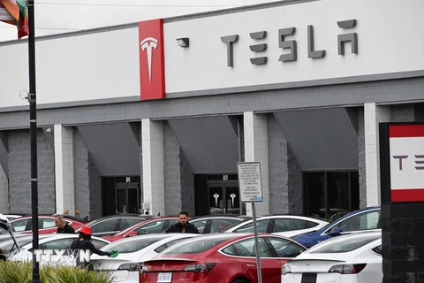 Các mẫu xe ôtô điện của Tesla. (Ảnh: AFP/TTXVN)