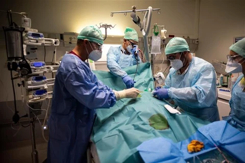 Nhân viên y tế điều trị cho bệnh nhân mắc COVID-19 (Nguồn:AFP/TTXVN)