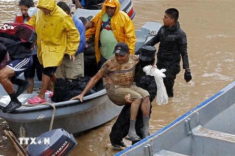 Lực lượng cứu hộ sơ tán người dân khỏi vùng ngập lụt sau bão Iota tại El Progreso, khu vực Yoro, Honduras, ngày 19/11/2020. (Ảnh: AFP/ TTXVN)