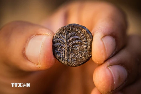 Đồng tiền cổ có niên đại 1.900 năm(Nguồn: City of David Archive)