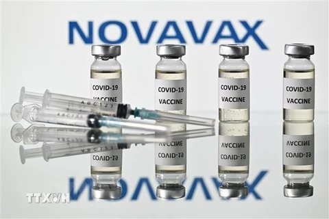 Hình ảnh mô phỏng vắcxin ngừa COVID-19 của Novavax. (Nguồn: AFP/TTXVN) 