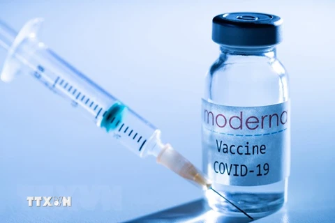 Vaccine ngừa COVID-19 của tập đoàn dược phẩm Mỹ Moderna. (Ảnh: AFP/TTXVN)