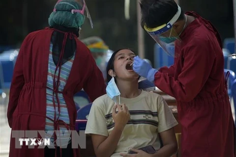 Nhân viên y tế lấy mẫu xét nghiệm COVID-19 tại Jakarta, Indonesia. (Ảnh: THX/TTXVN) 