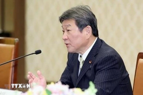 Ngoại trưởng Nhật Bản Toshimitsu Motegi. (Ảnh: Kyodo/TTXVN) 