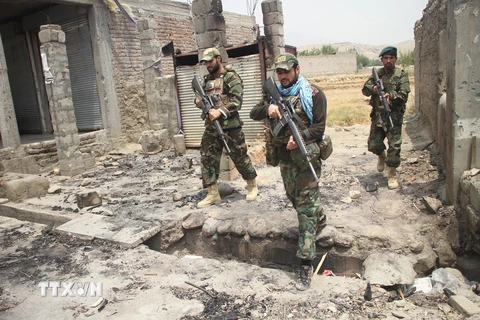 Lực lượng an ninh Afghanistan tham gia chiến dịch truy quét các tay súng Taliban tại Alishing, tỉnh Laghman. (Ảnh: THX/TTXVN)