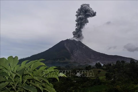 Núi lửa Sinabung ở Bắc Sumatra, Indonesia phun tro bụi lên bầu trời. (Ảnh tư liệu: THX/TTXVN)