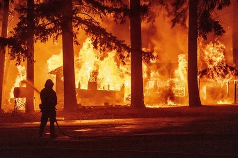 Nhân viên cứu hỏa nỗ lực khống chế các đám cháy rừng tại bang California (Mỹ). (Ảnh: AFP/TTXVN)