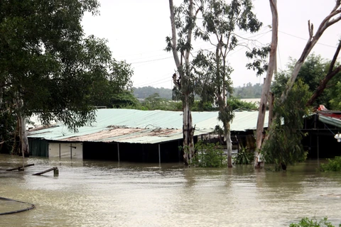 Hàng quán trên địa bàn xã Tam Đàn, huyện Phú Ninh bị ngập nước. (Ảnh: Phước Tuệ /TTXVN)