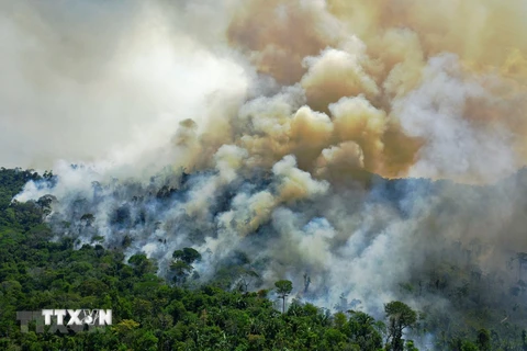 Khói lửa bốc lên từ đám cháy tại khu vực rừng Amazon ở bang Para State, Brazil ngày 16/8/2020. (Ảnh: AFP/TTXVN) 