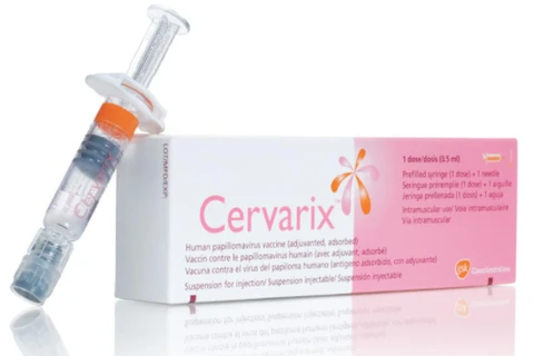 Vaccine Cervarix.(Nguồn: Pharmog)