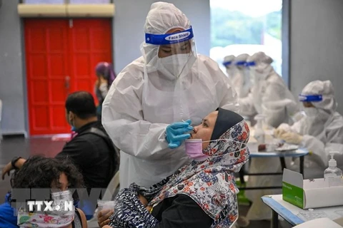 Nhân viên y tế lấy mẫu xét nghiệm COVID-19 cho người dân tại Indonesia. (Ảnh: AFP/TTXVN)