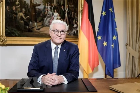Tổng thống Đức Frank-Walter Steinmeier. (Ảnh: AFP/TTXVN) 