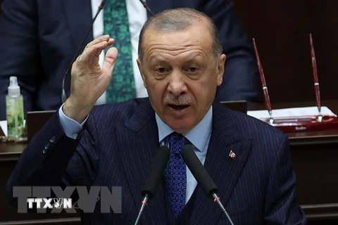 Tổng thống Thổ Nhĩ Kỳ Tayyip Erdogan. (Ảnh: AFP/TTXVN) 