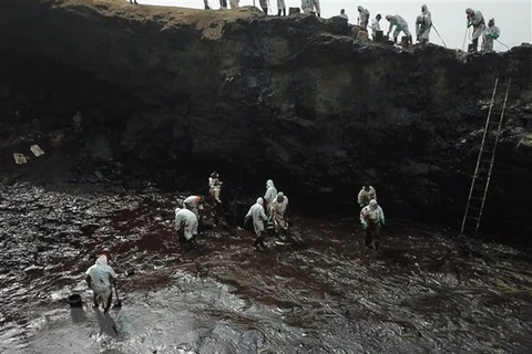 Công nhân dọn dầu loang tại bờ biển ở thị trấn Ancon, Peru sau sự cố tràn dầu liên quan thảm họa núi lửa phun trào ở Tonga, ngày 22/1. (Ảnh: AFP/TTXVN) 