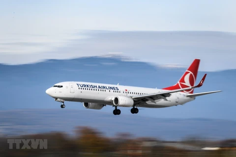 Máy bay của hãng hàng không Turkish Airlines. (Ảnh: AFP/TTXVN) 