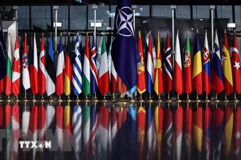 Quốc kỳ các nước thành viên Tổ chức Hiệp ước Bắc Đại Tây Dương (NATO). (Ảnh: AFP/TTXVN)
