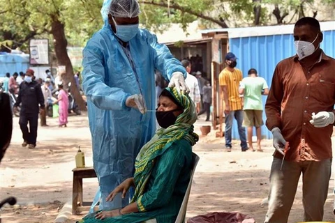 Nhân viên y tế lấy mẫu xét nghiệm COVID-19 cho người dân tại Hyderabad, Ấn Độ. (Ảnh: THX/TTXVN) 