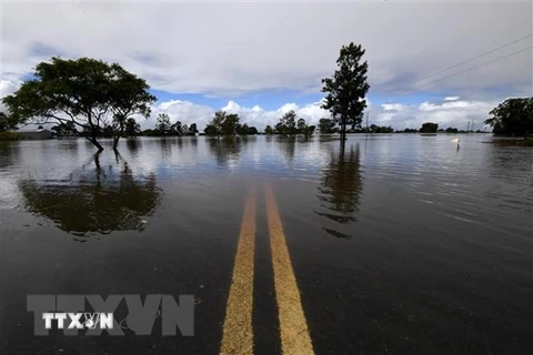 Nhiều bang Australia khôi phục cảnh báo lũ lụt do mưa lớn