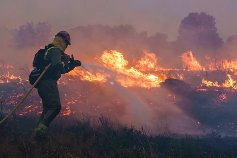 Lính cứu hỏa nỗ lực dập đám cháy rừng tại Pumarejo de Tera, gần Zamora, miền Bắc Tây Ban Nha, ngày 18/6/2022. (Ảnh: THX/TTXVN)