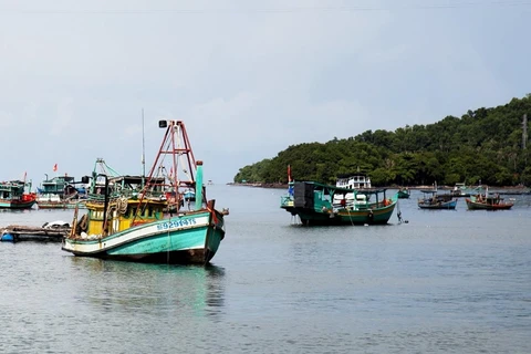 Tàu cá trên vùng biển thành phố Hà Tiên. (Ảnh: Hồng Đạt/TTXVN) 